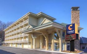 Comfort Inn & Suites at Dollywood Lane Pigeon Forge Tn